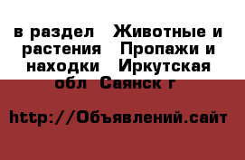  в раздел : Животные и растения » Пропажи и находки . Иркутская обл.,Саянск г.